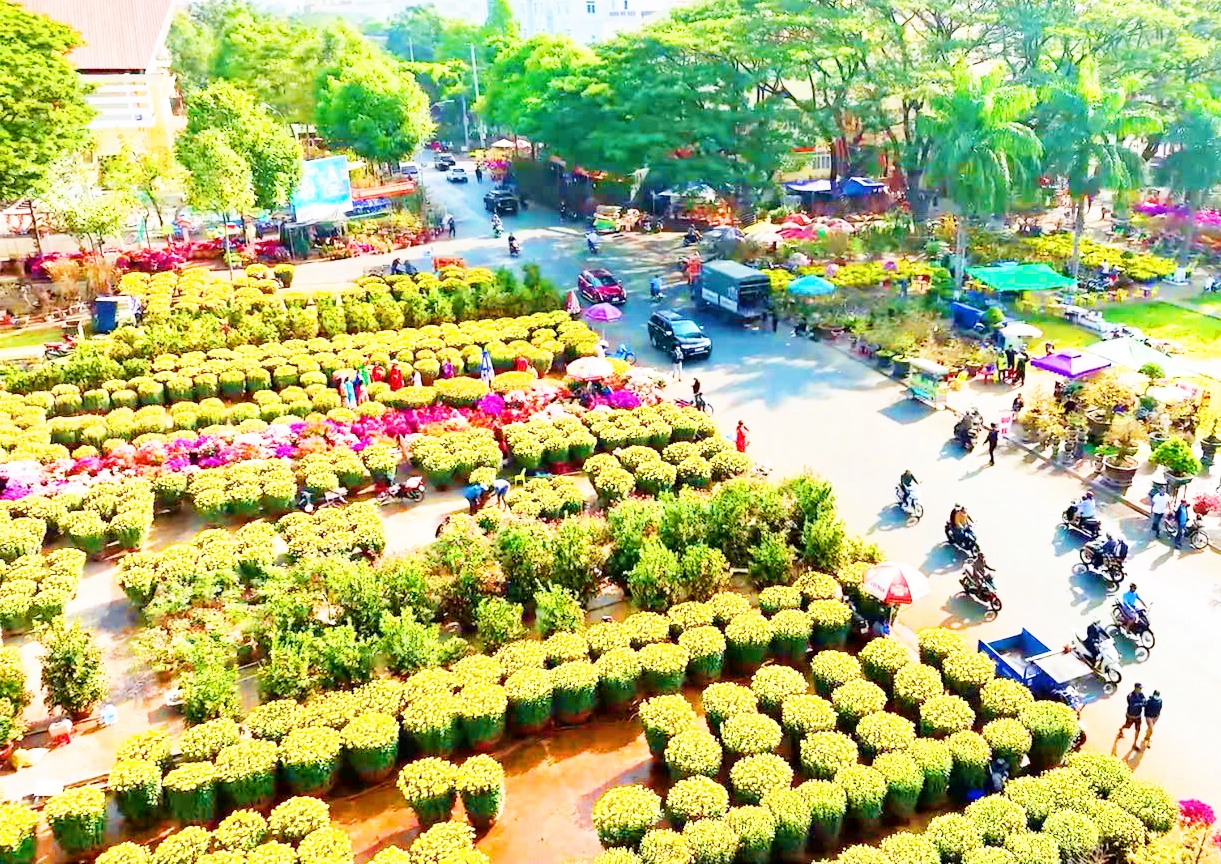 Thành phố Buôn Ma Thuột: Bố trí không gian để tổ chức chợ hoa, cây cảnh và nghệ thuật truyền thống phục vụ tết Nguyên đán Ất Tỵ năm 2025